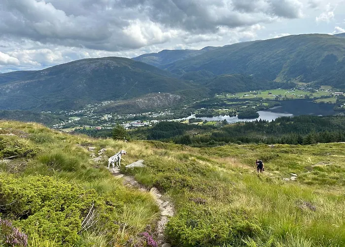 Comfort In Lone Only 20 Minutes Away From The Heart Of The City! *